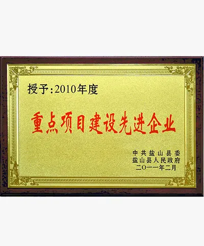 Ключевые проекты передовых предприятий